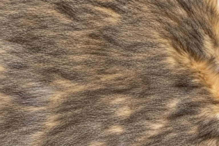 2-Tone Tipped Pheasant Faux Fur Fabric - pile surface