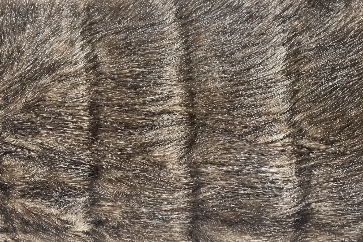 2-Tone Tipped Paper-Like Mink Faux Fur Fabric - pile surface